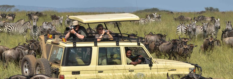 safaris en Tanzanie