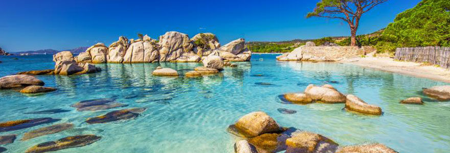 Corse